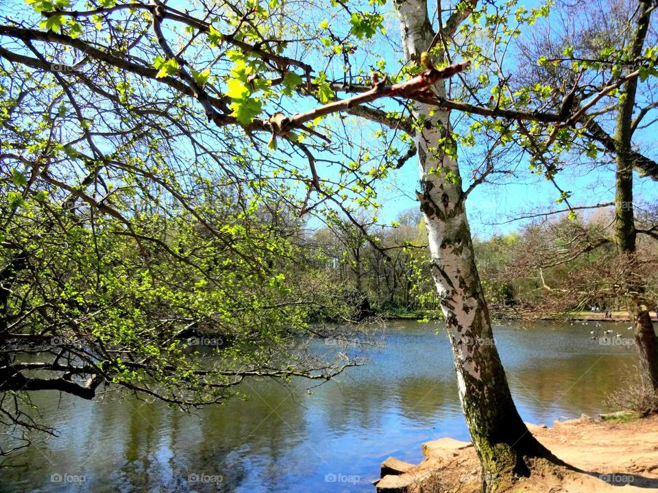 in the park