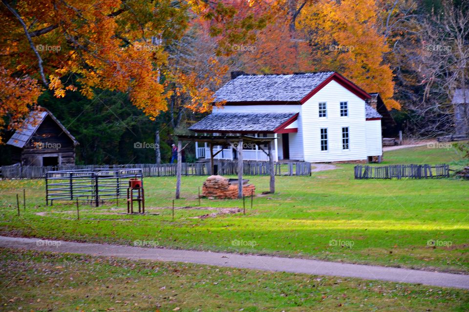 Autumn through my eyes - With the changing of the seasons comes the changing of the weather. We leave behind the sultry, sweaty days of summer and prance merrily into cooler weather