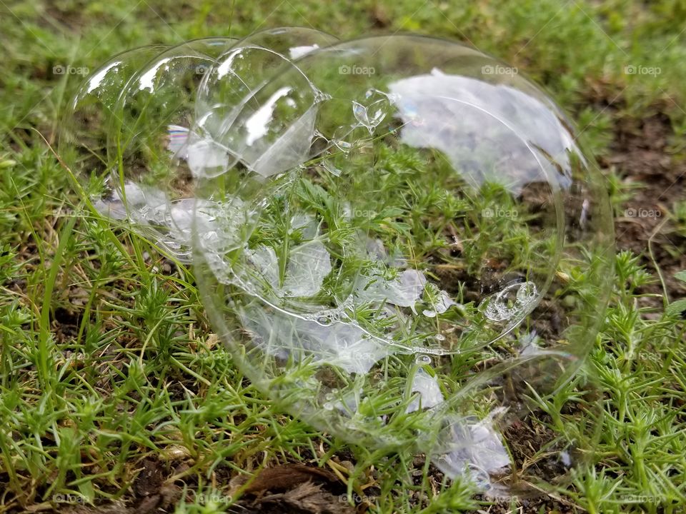 bubble on the grass