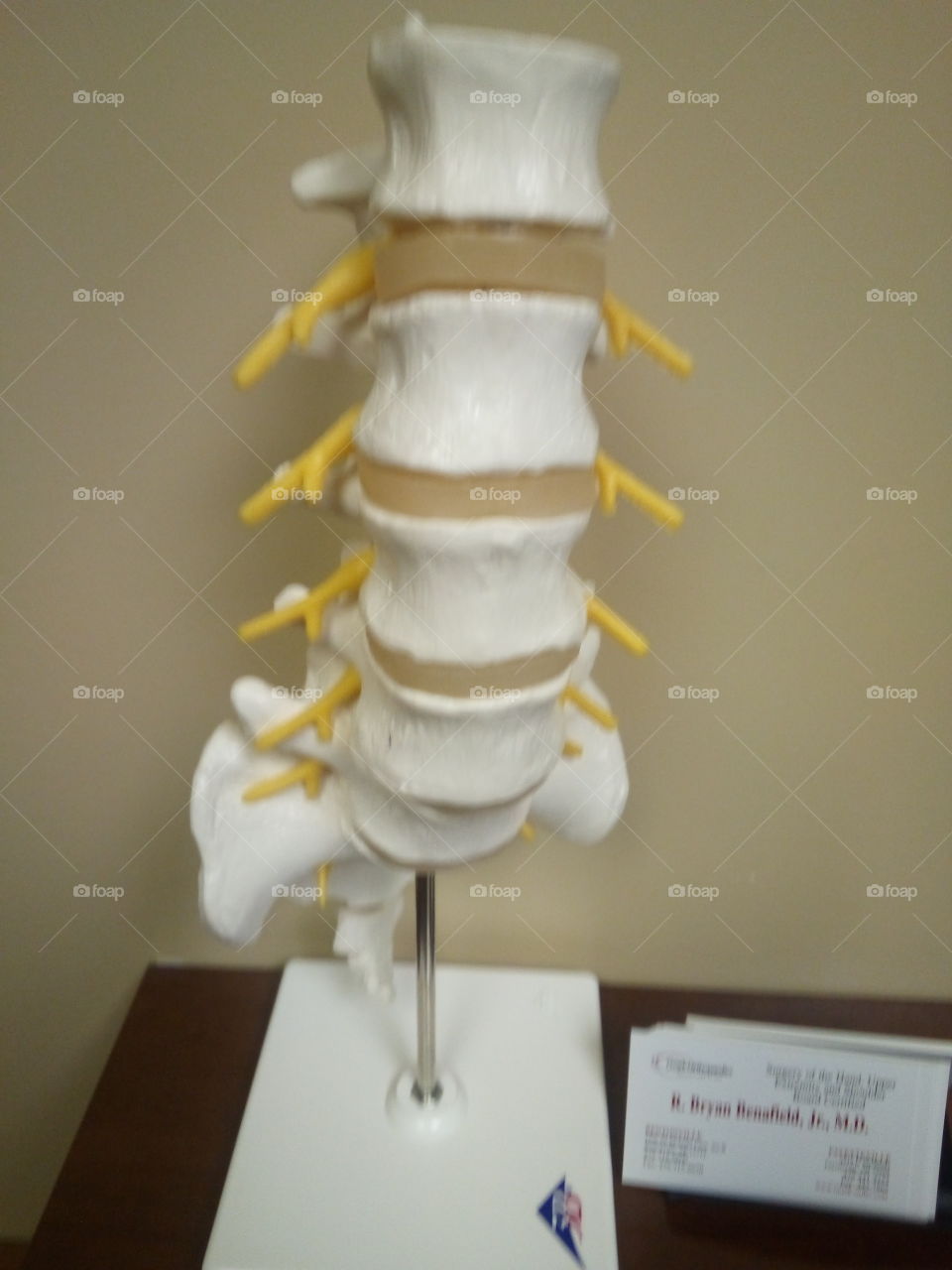 I always like looking at the toys in the patient room. I picked it up and it began to fall apart.