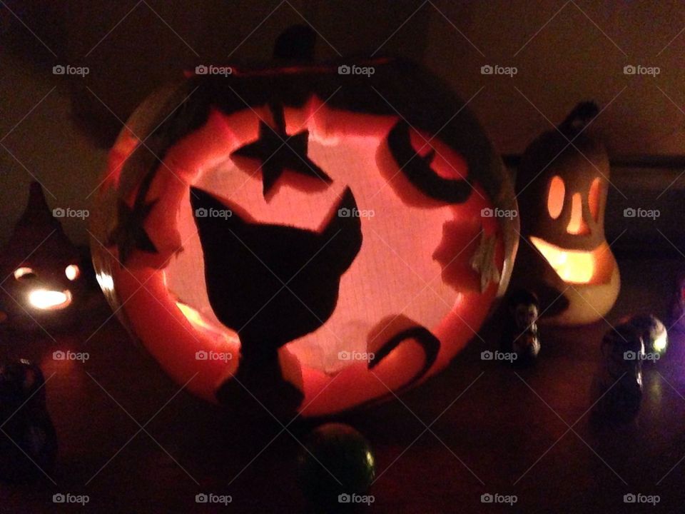 Cat pumpkin