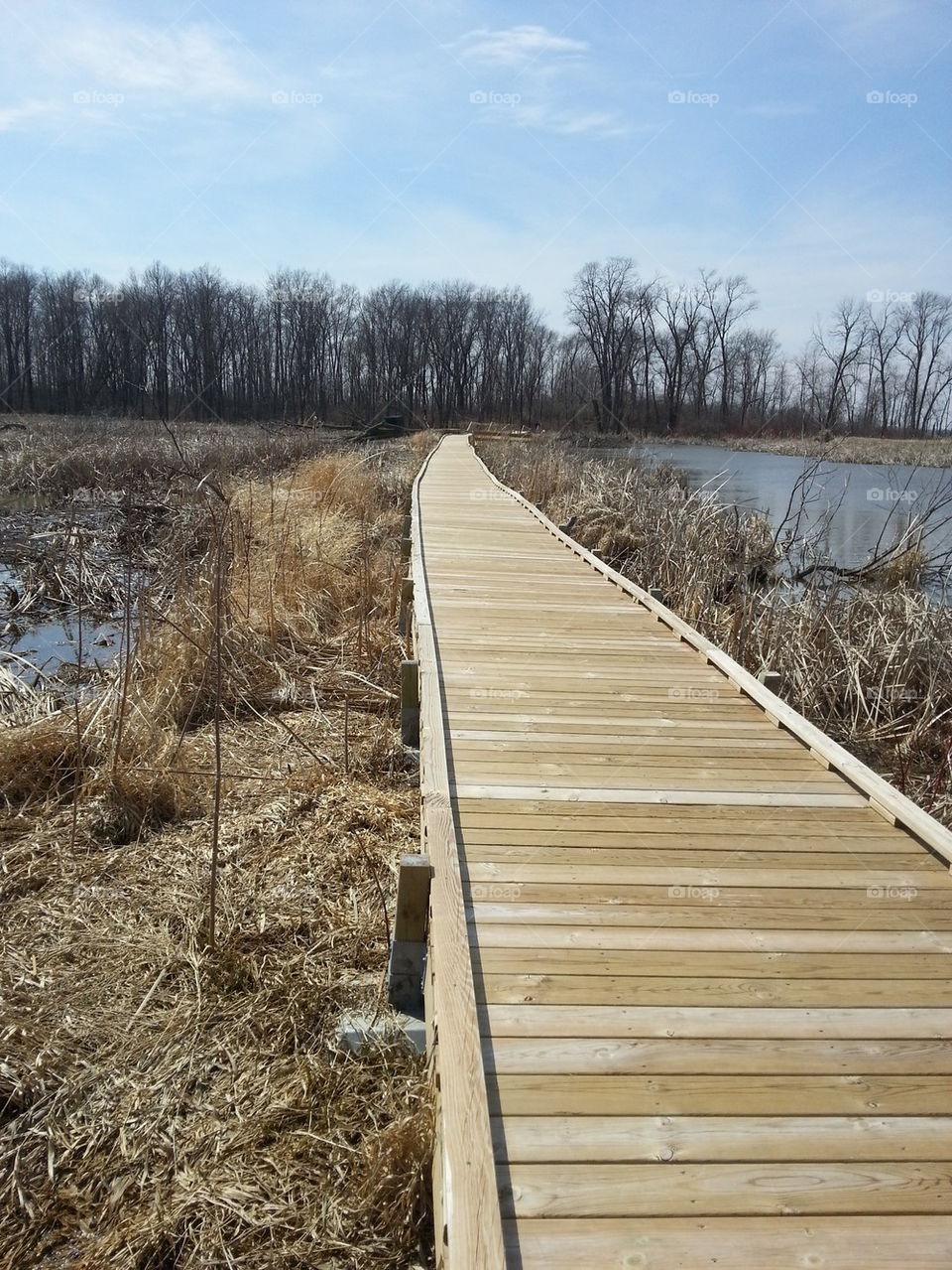 horicon marsh boardwalk