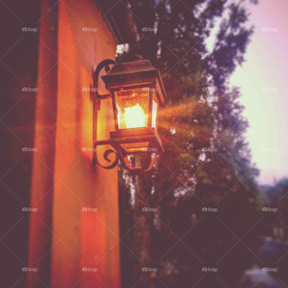 Light in the afternoon