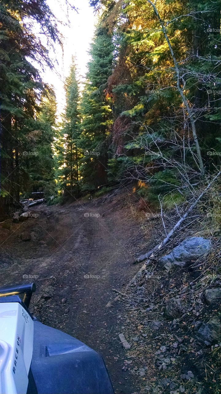 4wheeling down a rough road on a beautiful Colorado late fall day