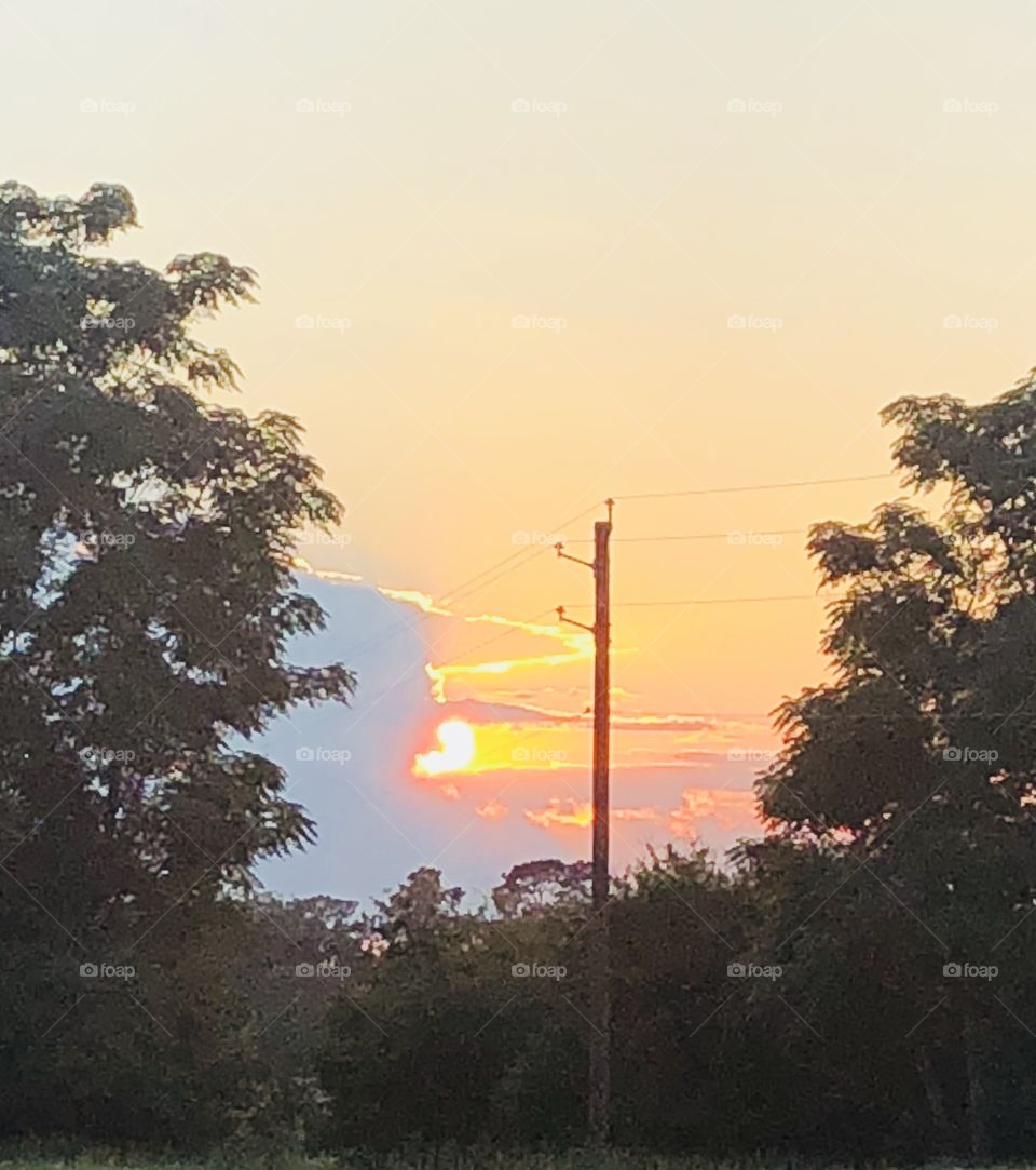 A stunning orange yellow sunset with a tree on each side giving it interest.  