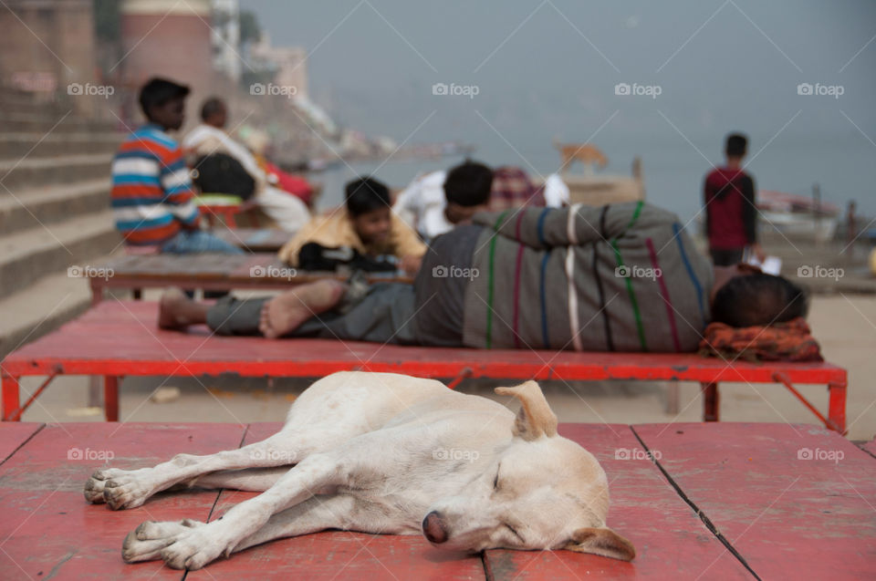 Dog and people sleeping on a bench on Assi Ghat, Varanasi, India