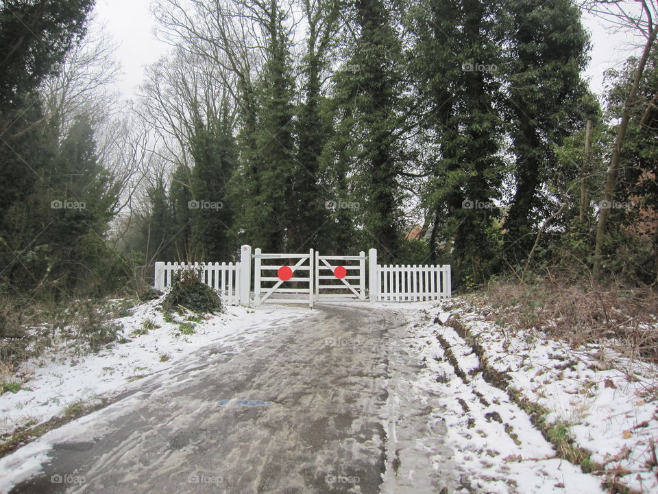 Winter Crossing