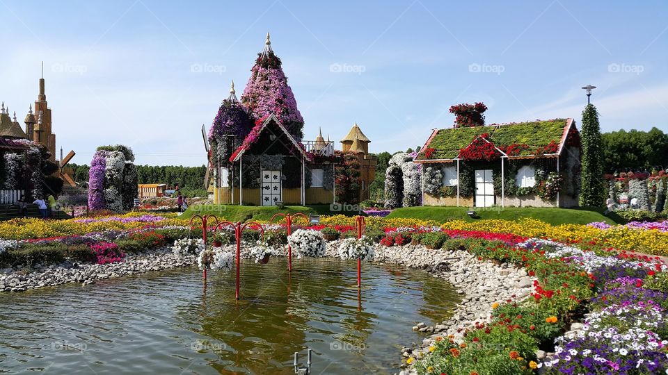 Architecture, Flower, Travel, Building, House