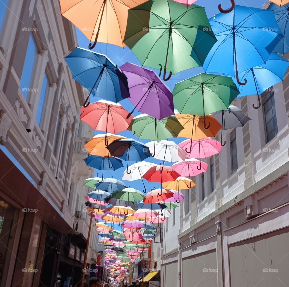 A comunicação e, o espetáculo das cores. As cores falam sua língua própria, que comunicam o cérebro expressando emoções e sentimentos