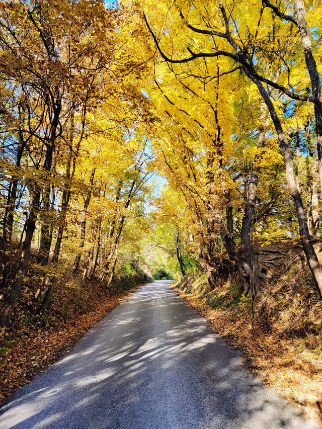 Old Farmers Road