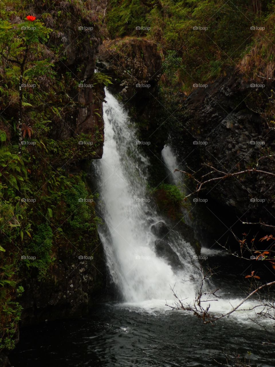 Maui, Hawaii 