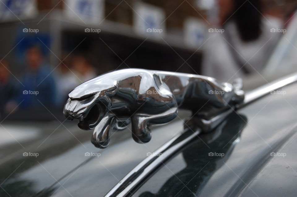 Jaguar