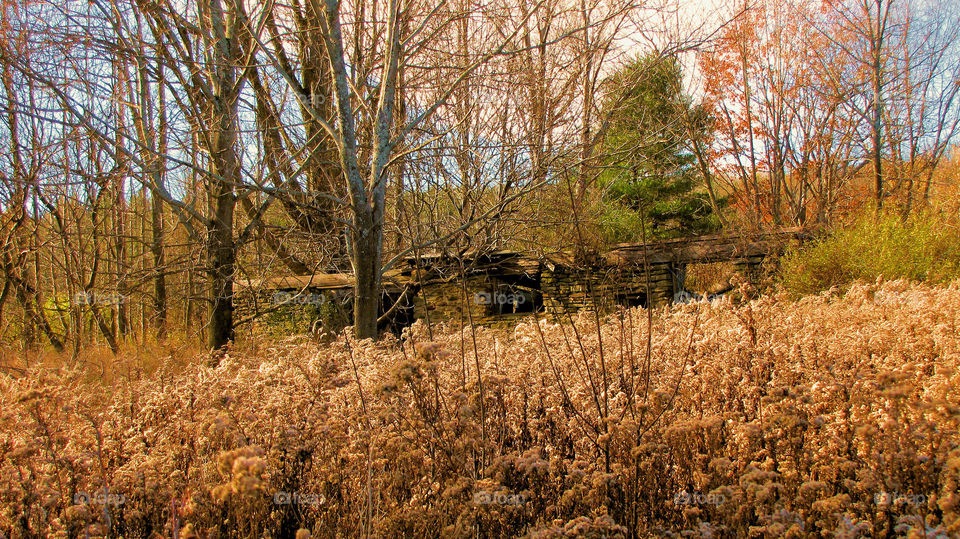 Old barn