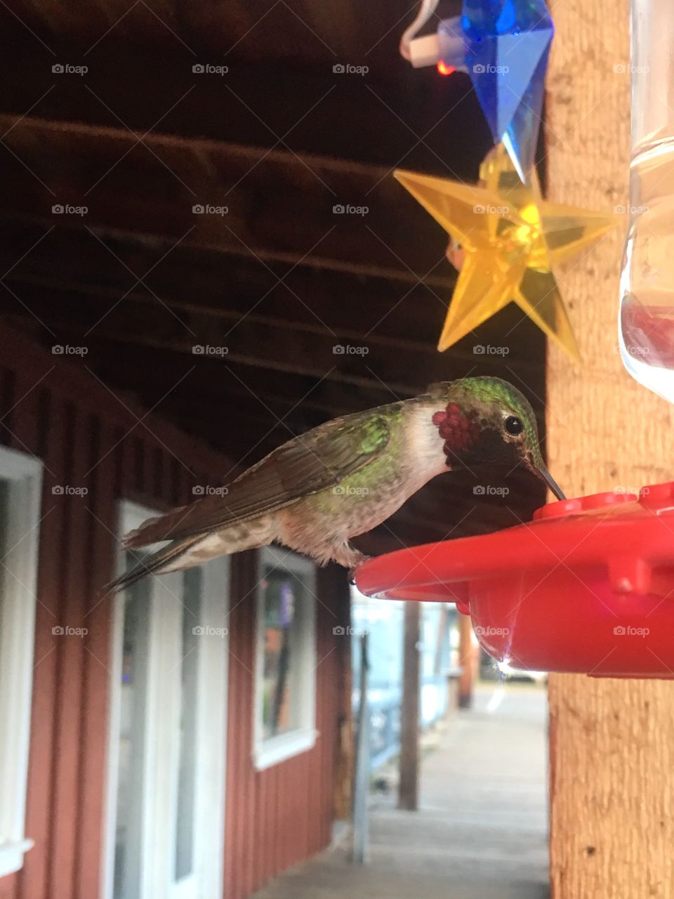 Hummingbird sitting in a bird feeder hanging from an awning of a shop in a mountain resort town.