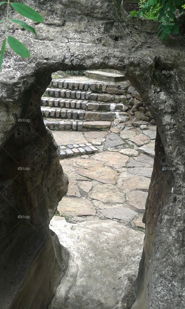 Doorway. Where will it take you? 