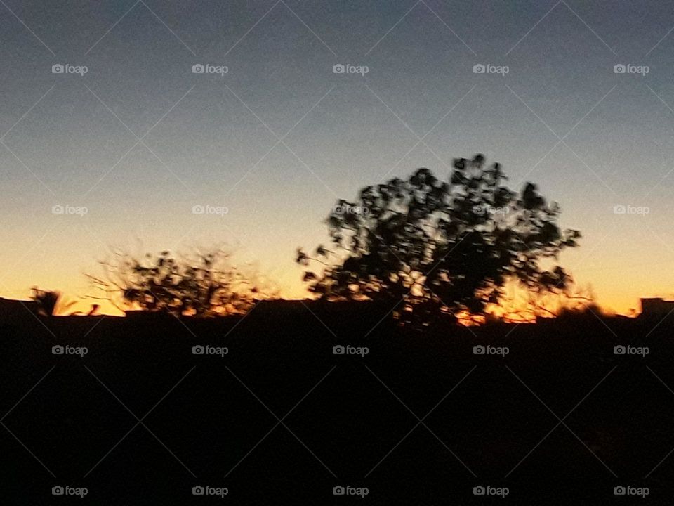 This photo was taken at sunset, where the red and yellow colors blend with the crawling blackness of the night
Olive trees show their beautiful silouhette