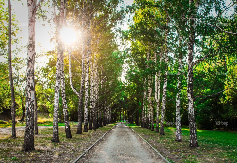 park in Russia