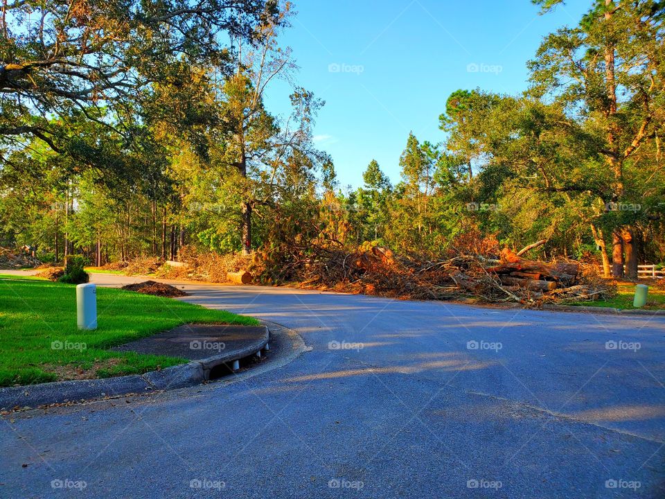 hurricane sally