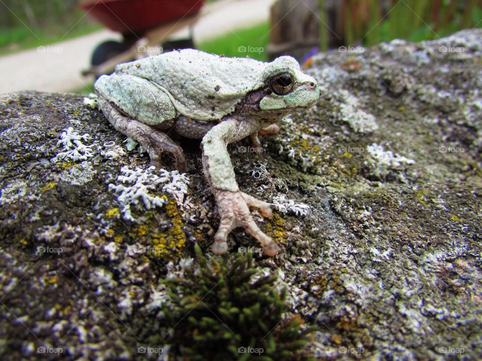 Posing for a picture