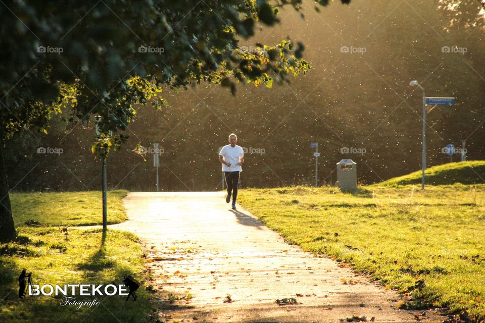 Running in springtime. A man jogging in the morning trough the woods in springtime