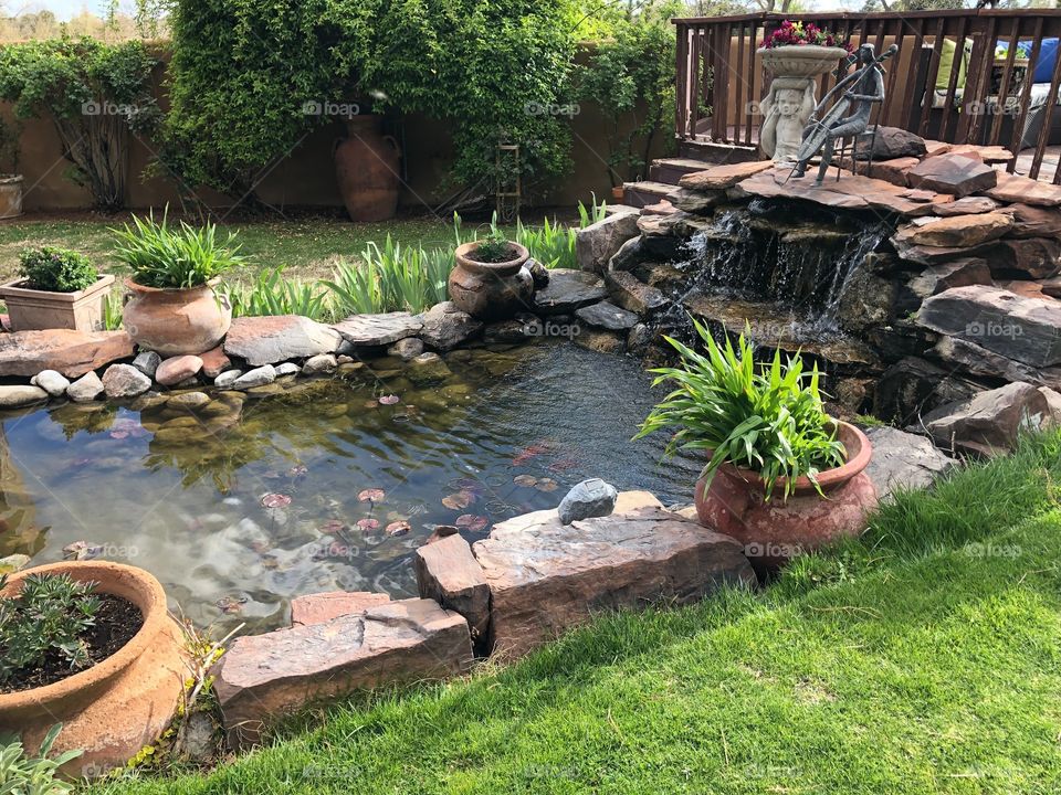 Garden pond surrounded by plants