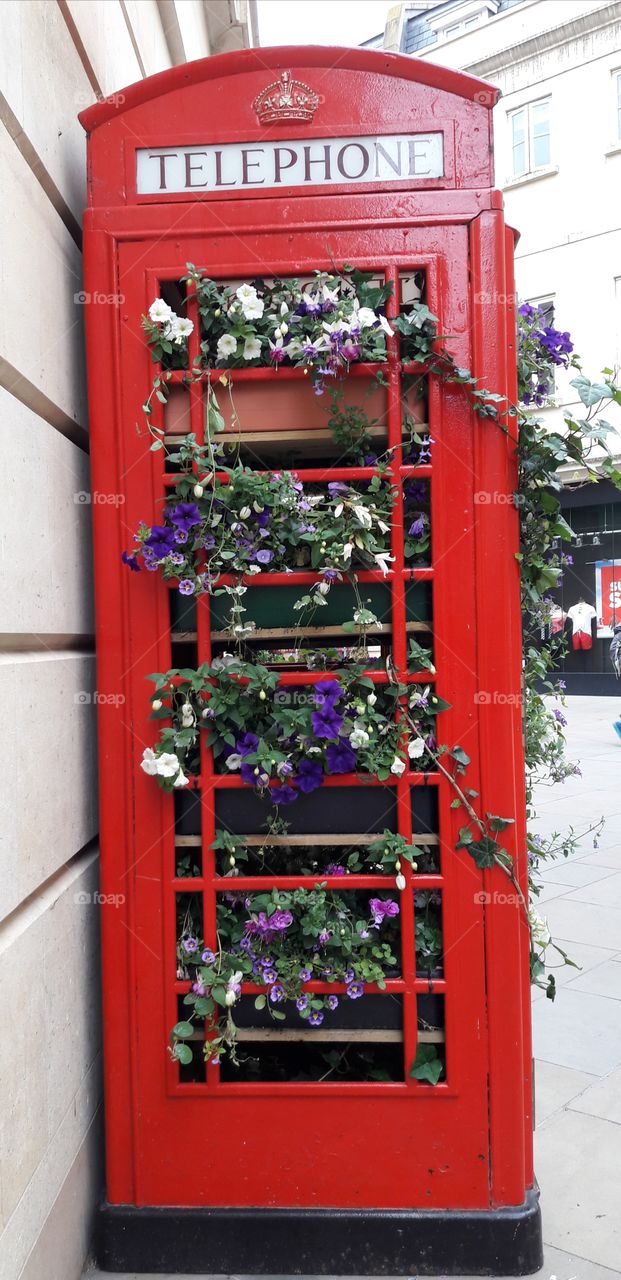 A old British  Telephone Box. Now a new home to some colourful plants