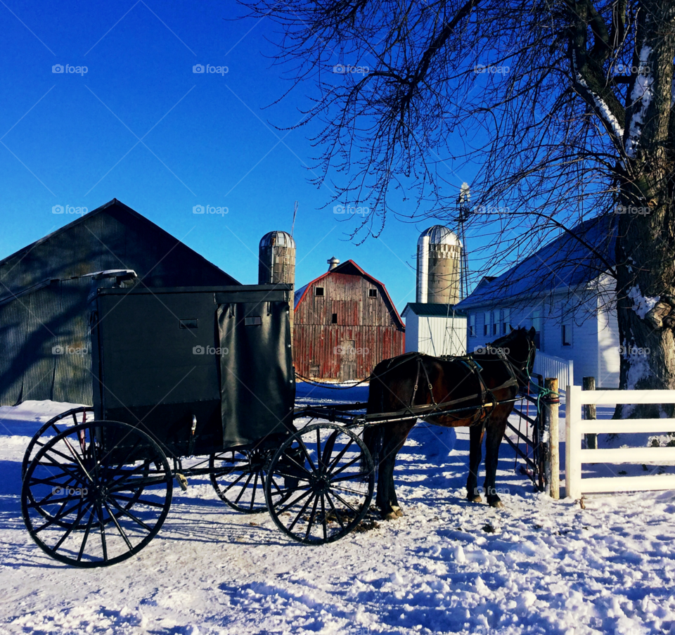 Carriage, Cavalry, No Person, Snow, Transportation System