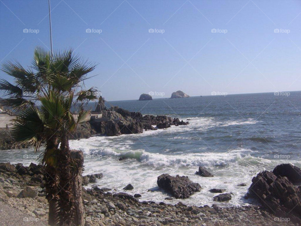 ocean palm sea view by mauimar