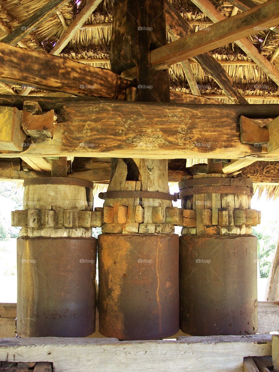 Grinding wheel for grinding sugar cane