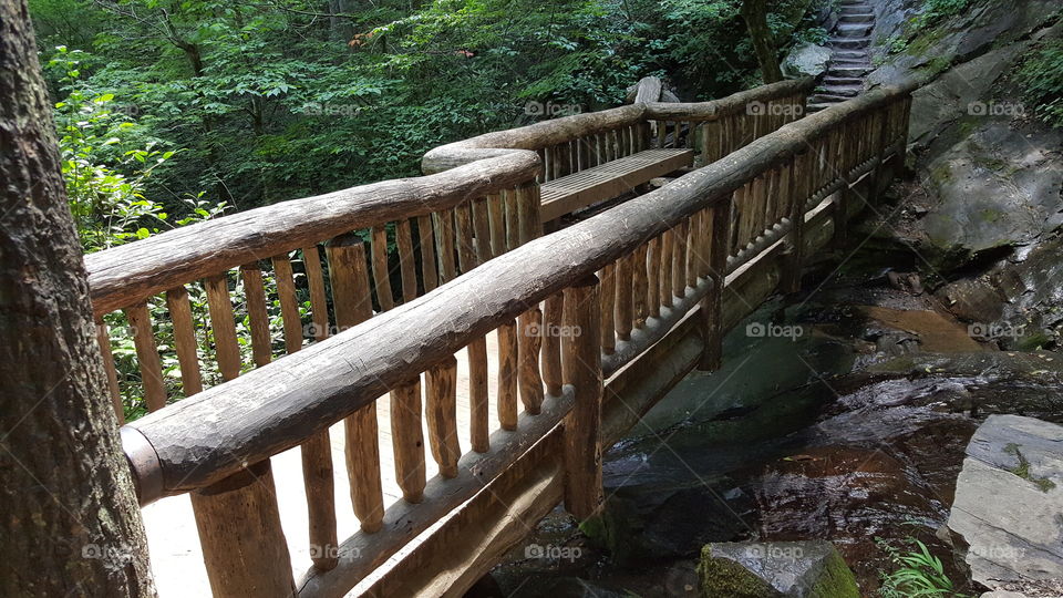 trail hiking bridge