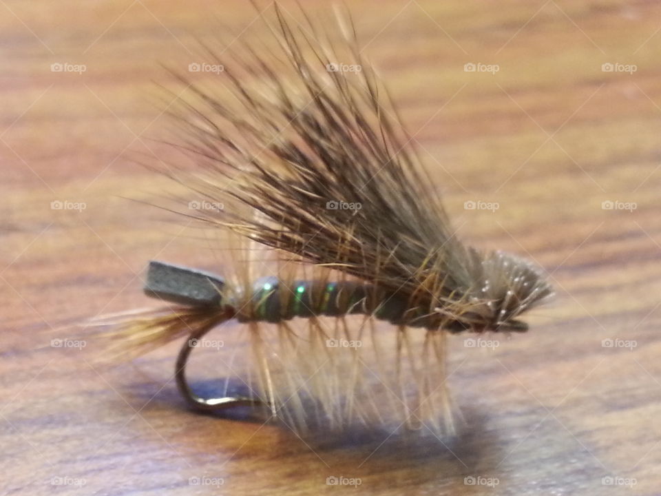 Fishing fly. This is a hand tied fly to represent a grasshopper or attractor fly.