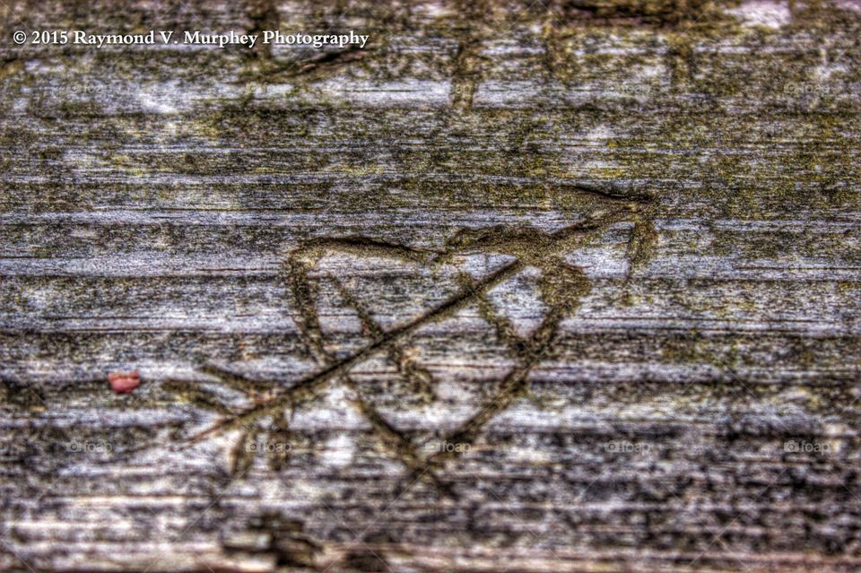 a sign of love. Whittled on a bridge on my path in a state park