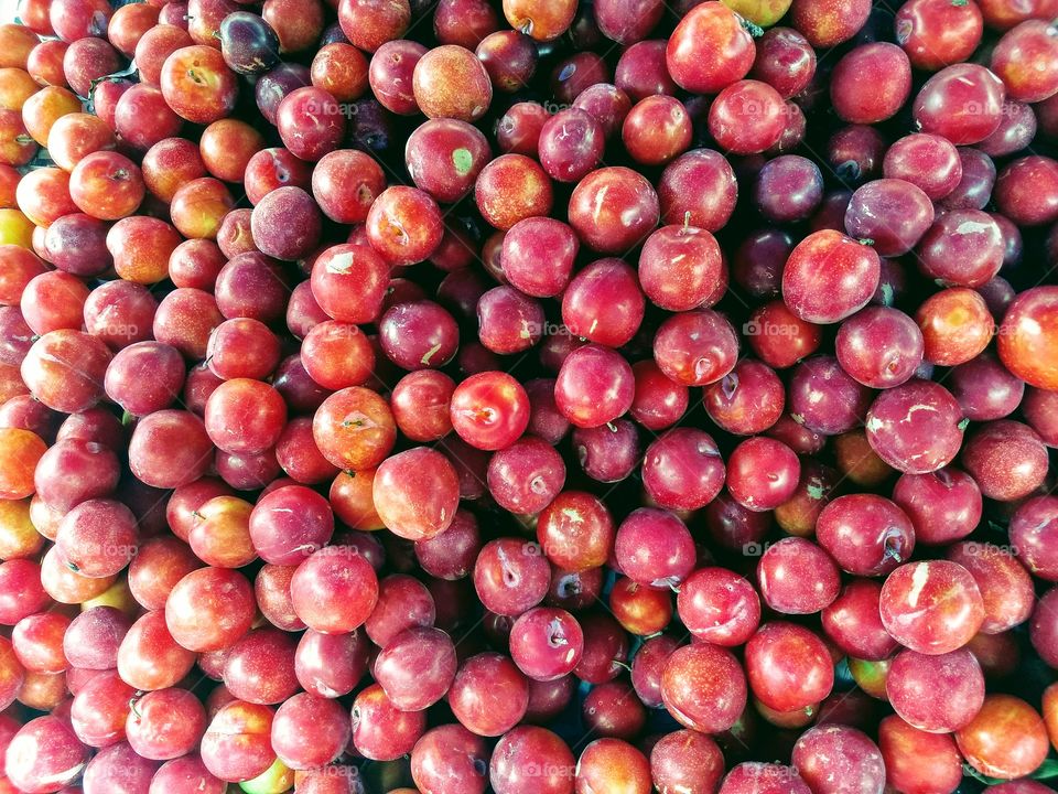beautiful berries