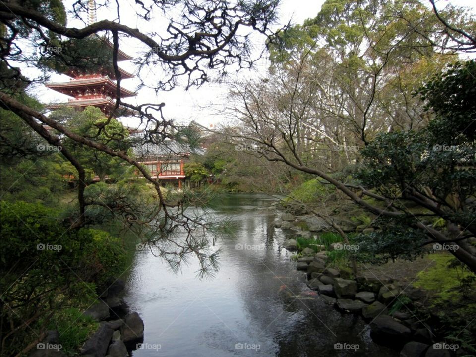 Early Spring in Tokyo. Asakusa Kannon, Sensoji Temple and Gardens, Japan