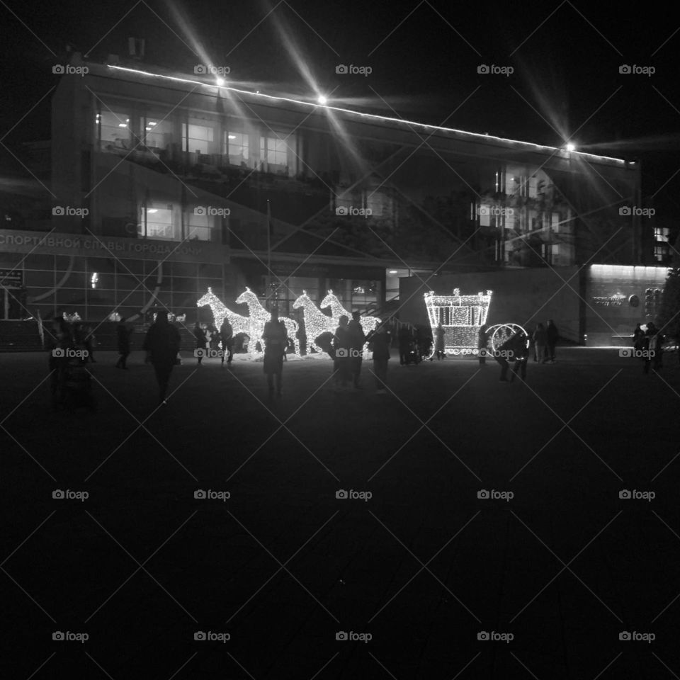 Сочи декабрь 