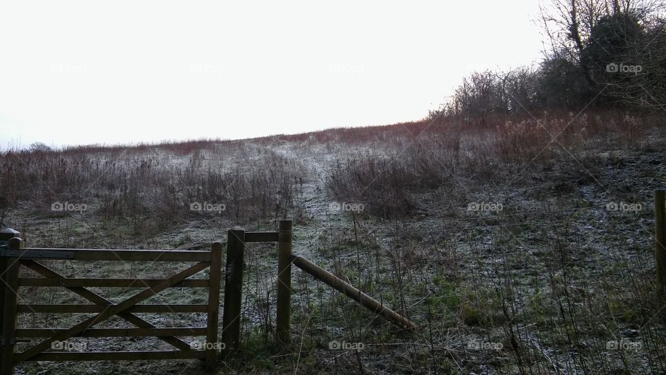 A Wooden Gate