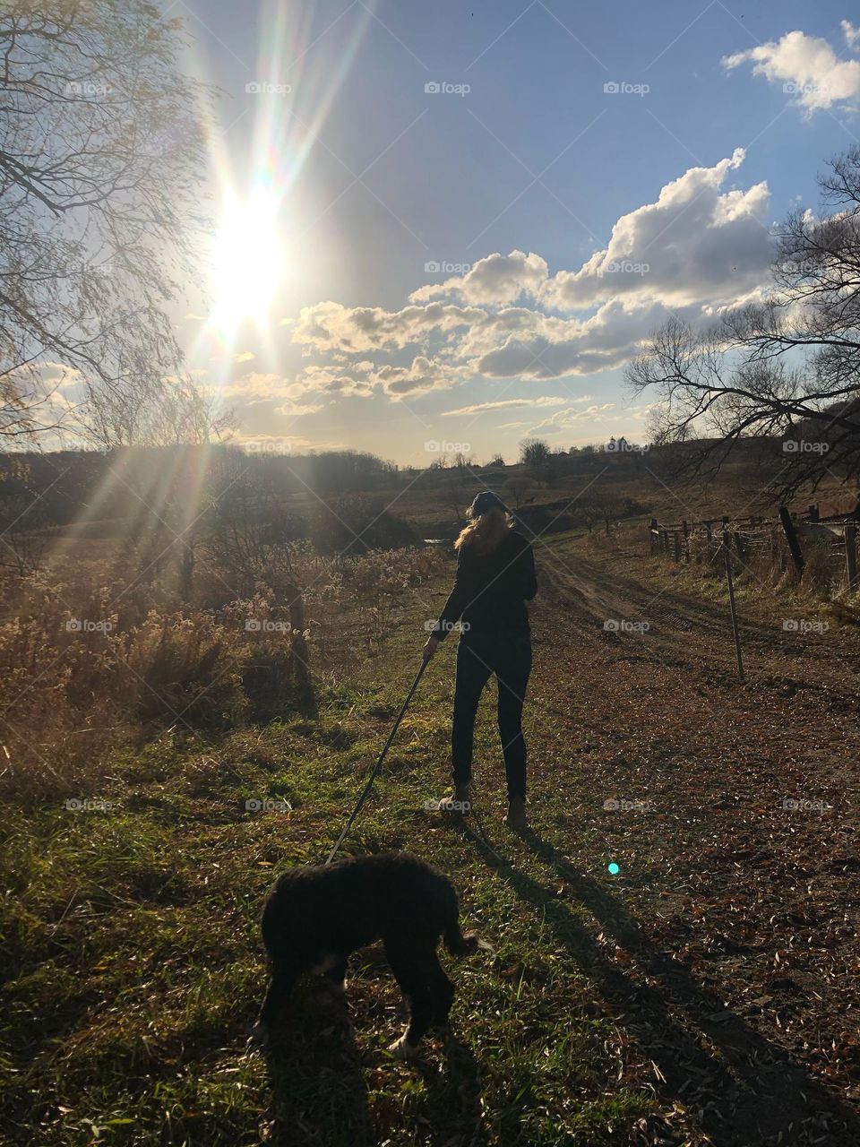 King township Ontario , sun setting in large acreage property.  Sun clouds , back of woman walking a dog, walking into the sunset 