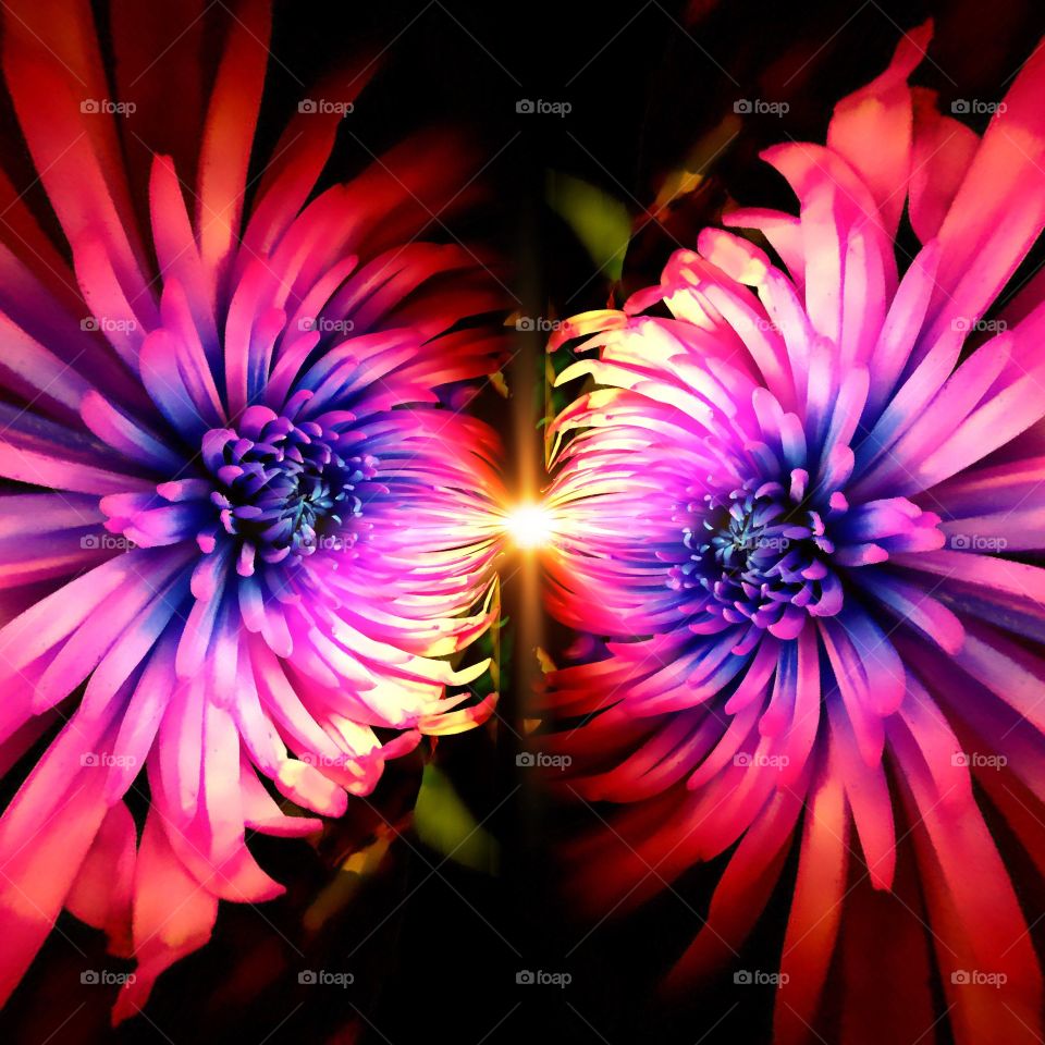 Psychedelic flower

