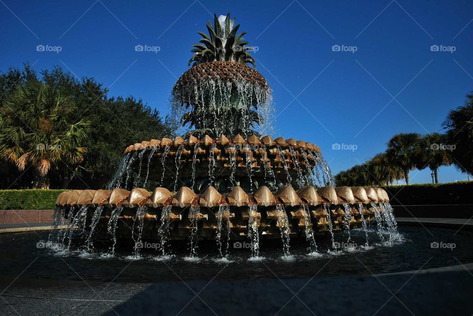 Pineapple Fountain Charleston SC