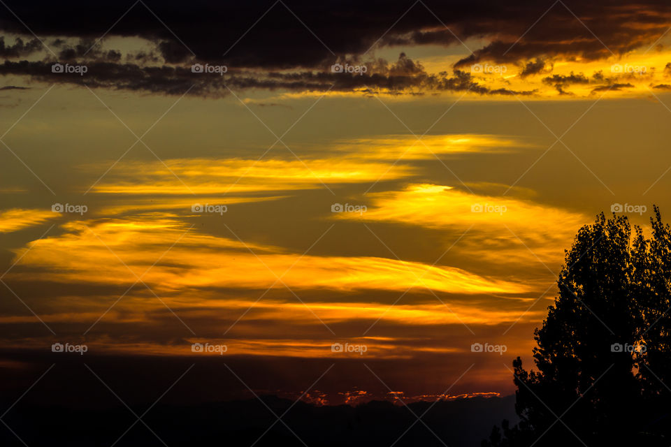 Golden sky and golden Clouds