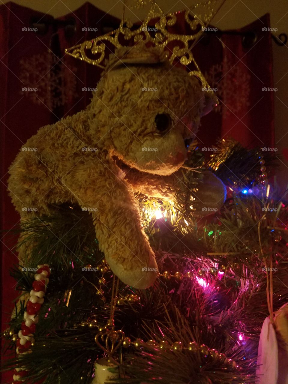 Stuffed animal on Christmas Tree