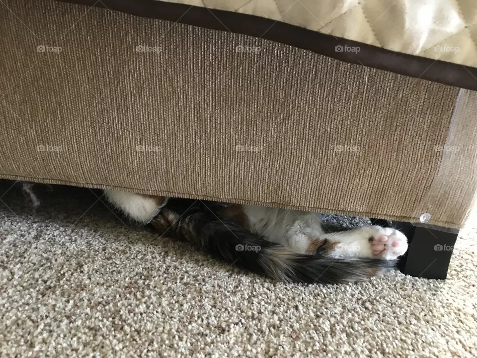 Hideaway nap
