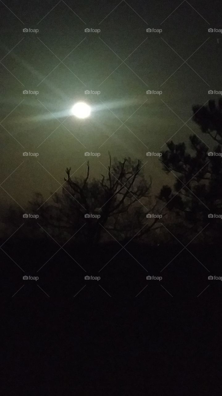 Erie Sky - Moon at Suneise