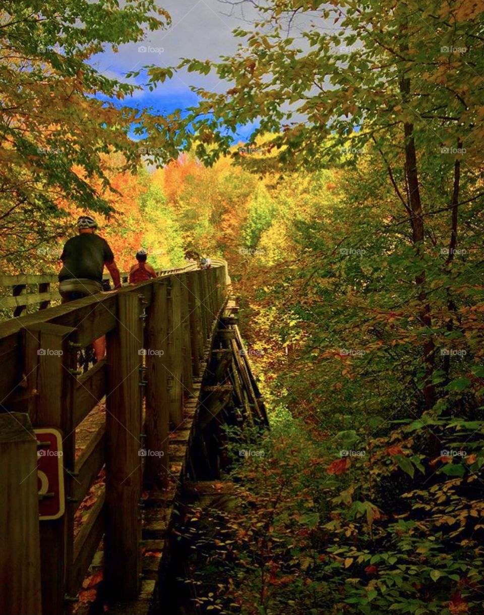 Autumn bike trail 