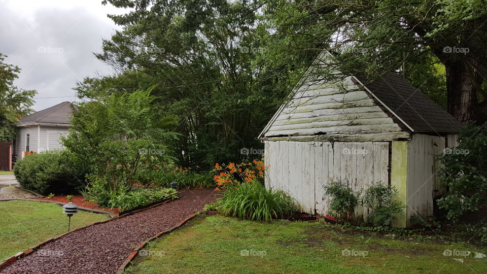 Country Backyard