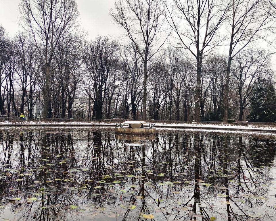 Winter reflections