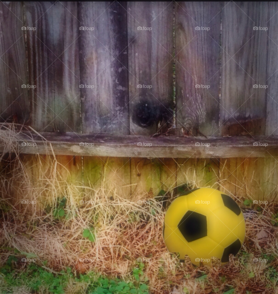 sports ball soccer by Quincy