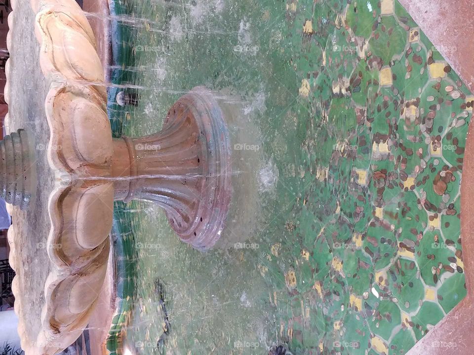 Penny Wishes in the Fountain