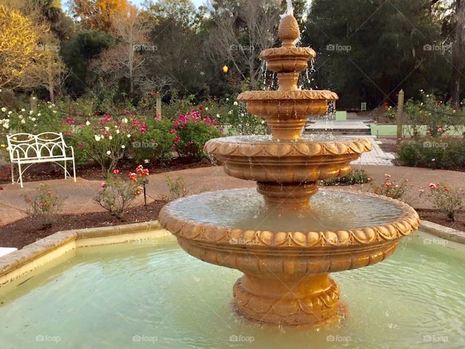 Leu Gardens, a botanical garden in Orlando, Florida featuring a peaceful fountain in the middle of the beautiful rose garden.  A perfect place for a family outing, wedding or evening outdoor concert!