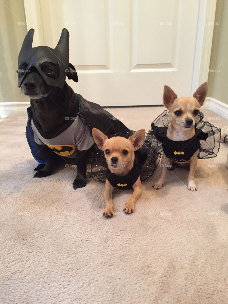 We are here to save the day! 